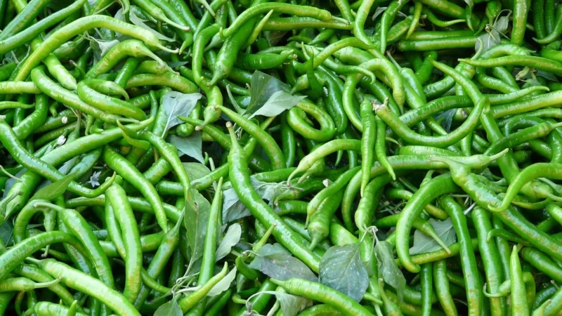 Gorzkoisłodko Papryka Ostra Chilli Grys aromatyczna 500g
