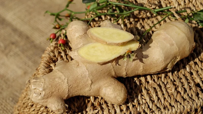 Govinda Kostki Imbiru Bio 70g