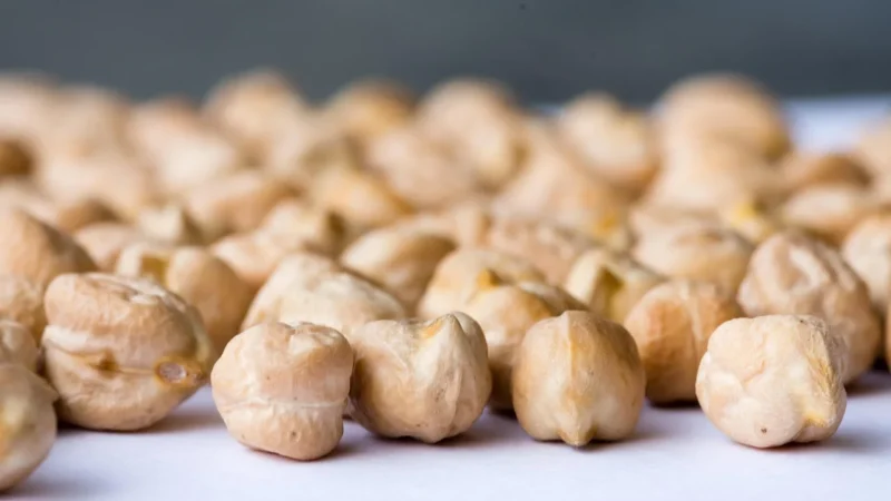 Grizly Ciecierzyca Kabuli 1000 g