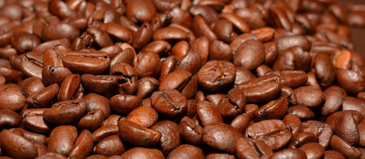 Grizly Nieprażone Ziarna Kakaowe, Pałeczki Bio 250G