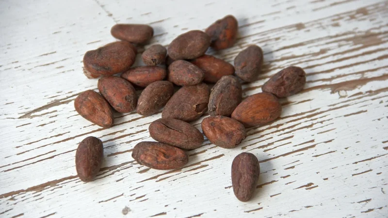 Grizly Ziarna Kakaowe Całe Bio 500G