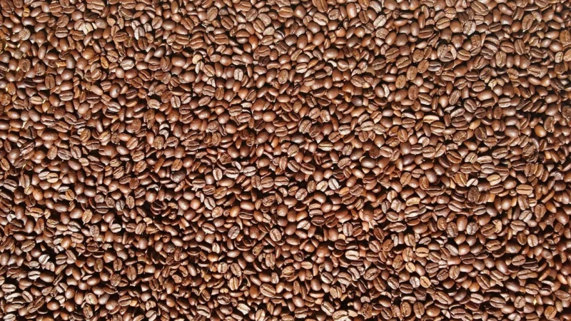 Hard Beans Kawa Ziarnista Toucan Blend 250 g Espresso