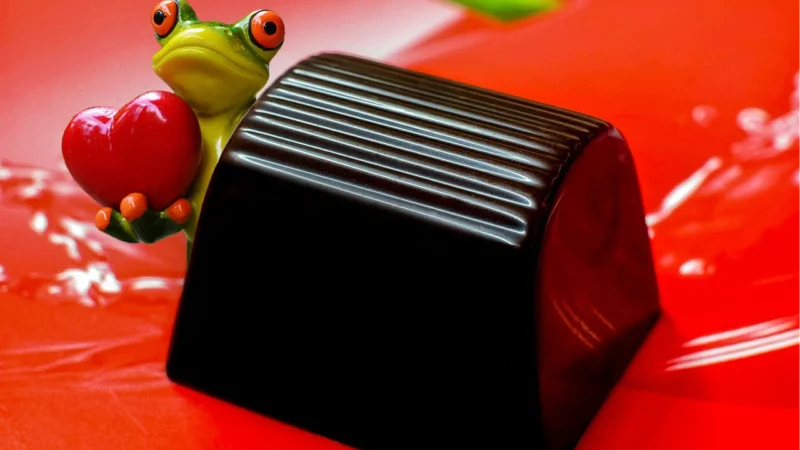 Harry Potter Czekoladowa Żaba Chocolate Frog Karta 15G