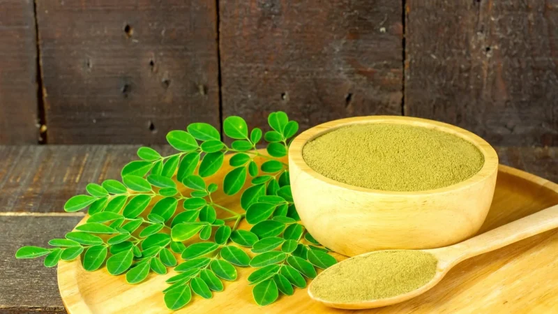 Horeca Moringa W Proszku Bio Surowiec 20Kg 6