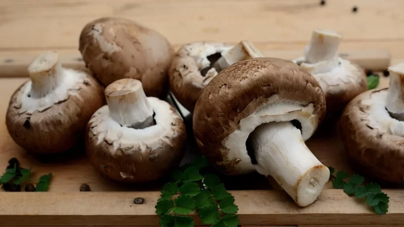 House Of Asia Grzyby Shiitake W Zalewie 284g
