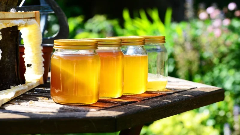 Hoyer Miód z Mleczkiem Pszczelim BIO 250 g