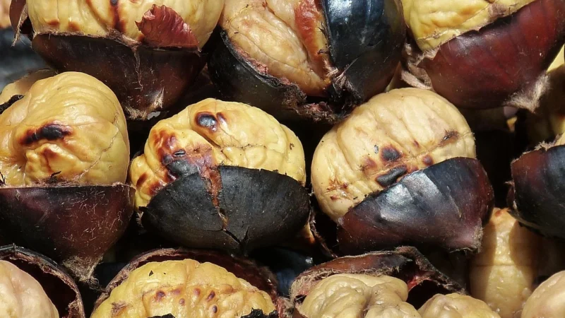 INDYK FILET Z PIERSI PIECZONY BIO (około 0,60 kg) – WASĄG (NA ZAMÓWIENIE)