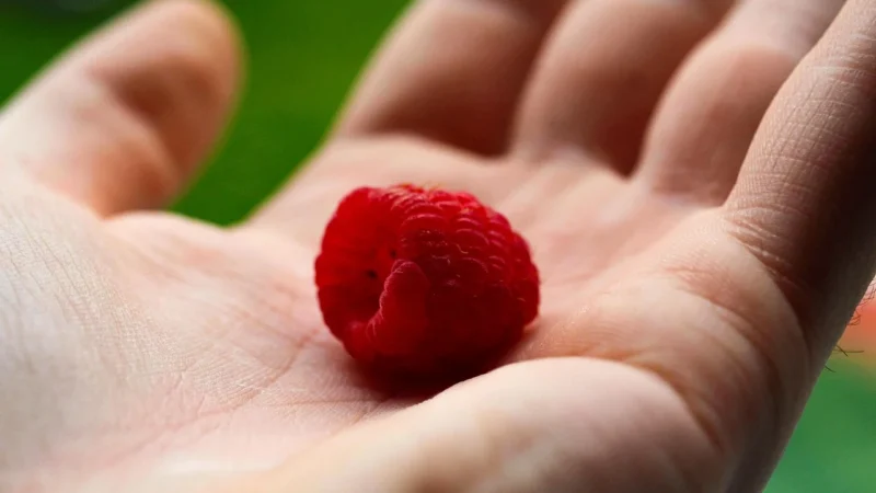 Jaglanka Z Amarantusem I Malinami Bezglutenowa Bio