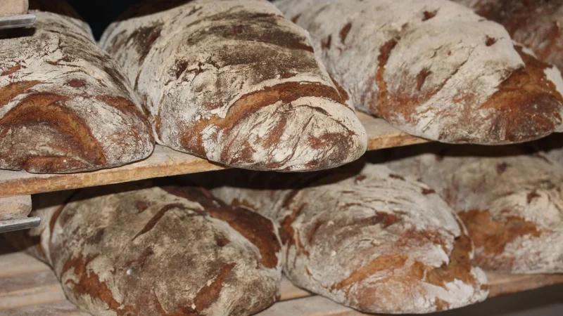 Jak wybrać najlepszego producenta chleba: poradnik