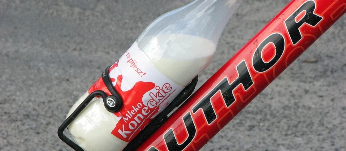 Kk Polska mleko Kokosowe Orient gourmet 1L 12szt.