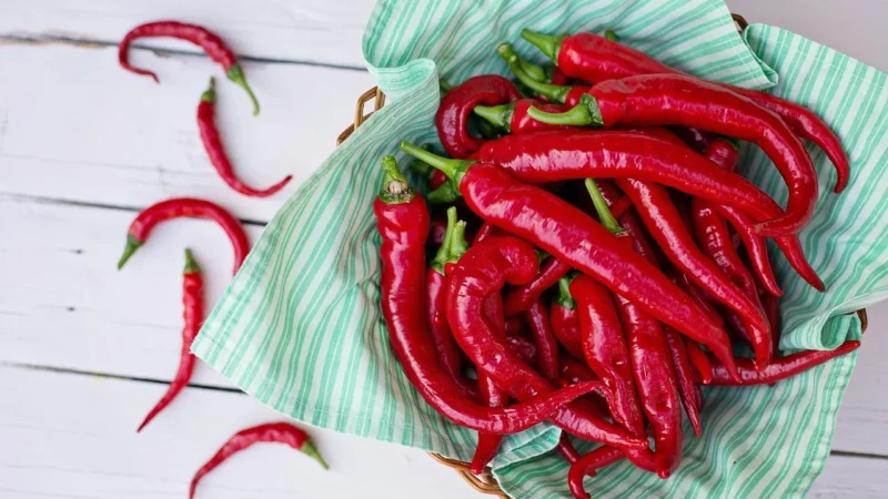 Kol-Pol Pieprz Cayenne 1Kg Kajeński Mielony Bardzo Ostry