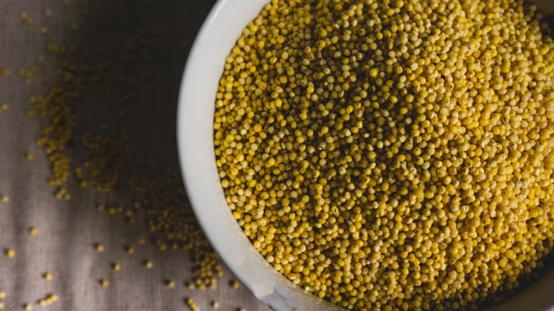 KolPol Kasza Jaglana 2,5kg Polska Naturalna