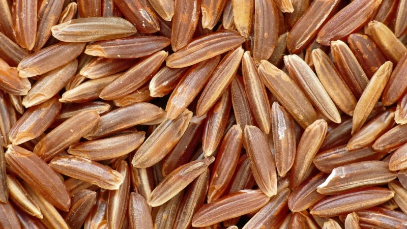 KolPol Ryż Biały Długoziarnisty 2,5kg Naturalny