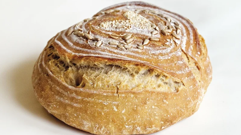 KolPol Zakwas Żytni 5kg Suszony Chlebowy Naturalny Suchy