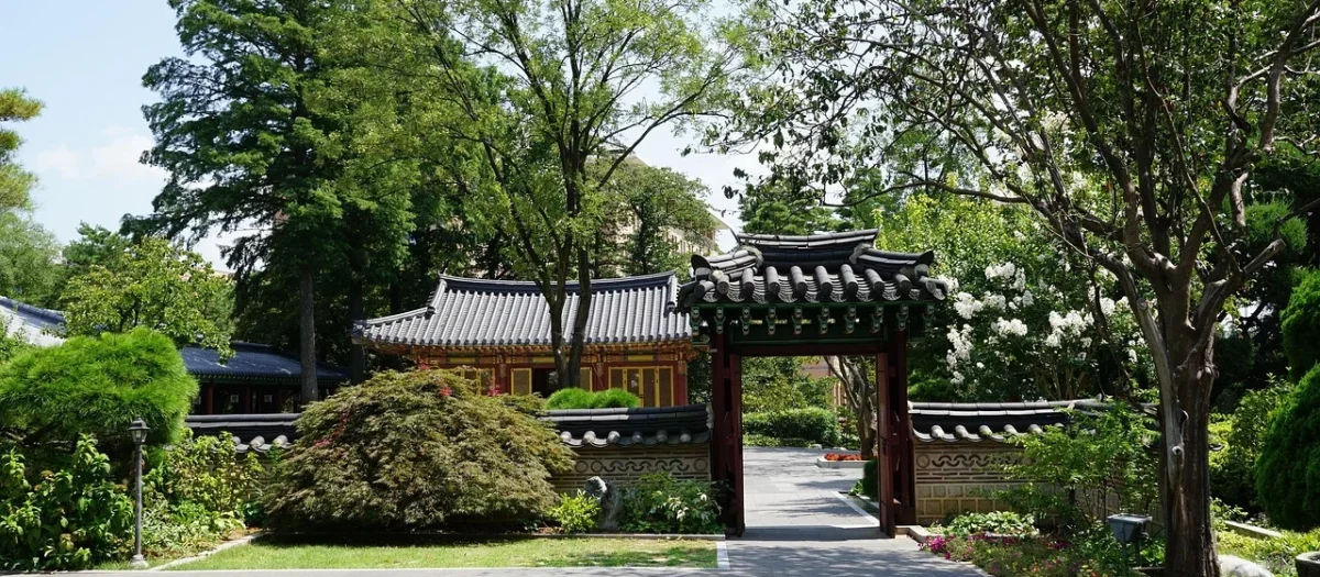 Koreańska ostra musztarda Yeongyeoja Daesang 95 g