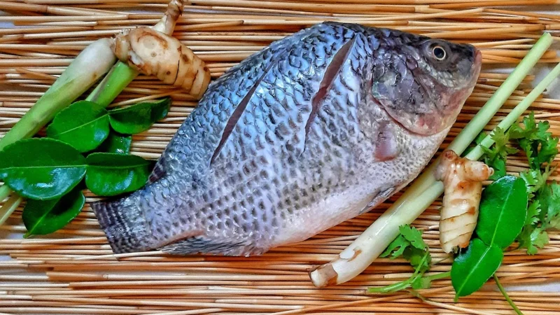 KUSKUS Z PŁASKURKI BIO (SUROWIEC) (20 kg) 8
