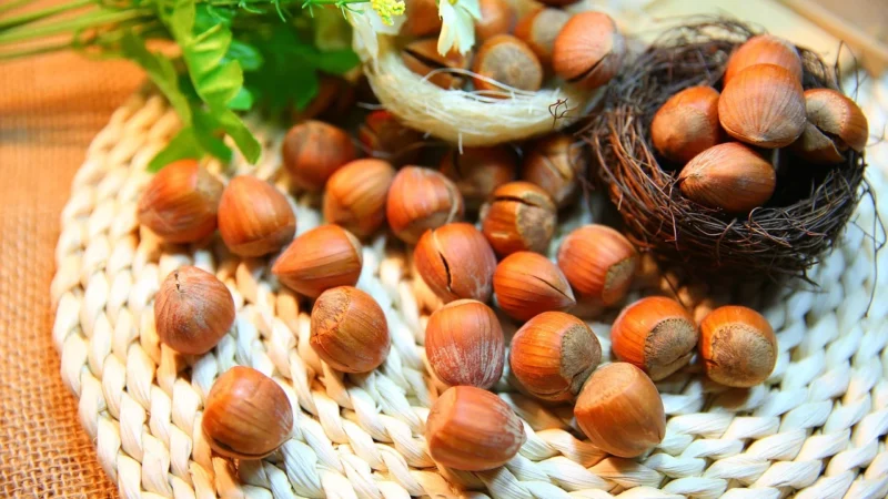 Las Vegans Orzech Laskowy W Czekoladzie Wegańskiej Las Vegan’S Bio, 80g