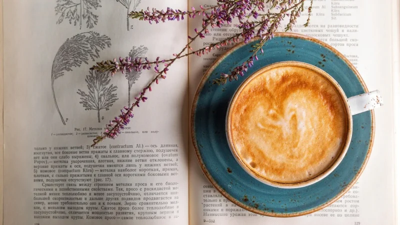Lavazza Nespresso Espresso Deciso 10 kapsułek