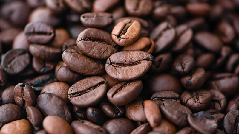 Lavazza Nespresso Firmowe Kapsułki Zestaw