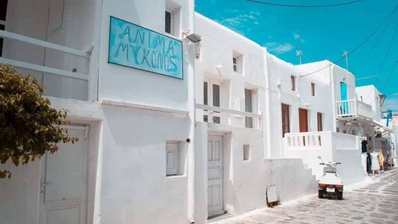 Lebensbaum Przyprawa Mykonos Bio 65g