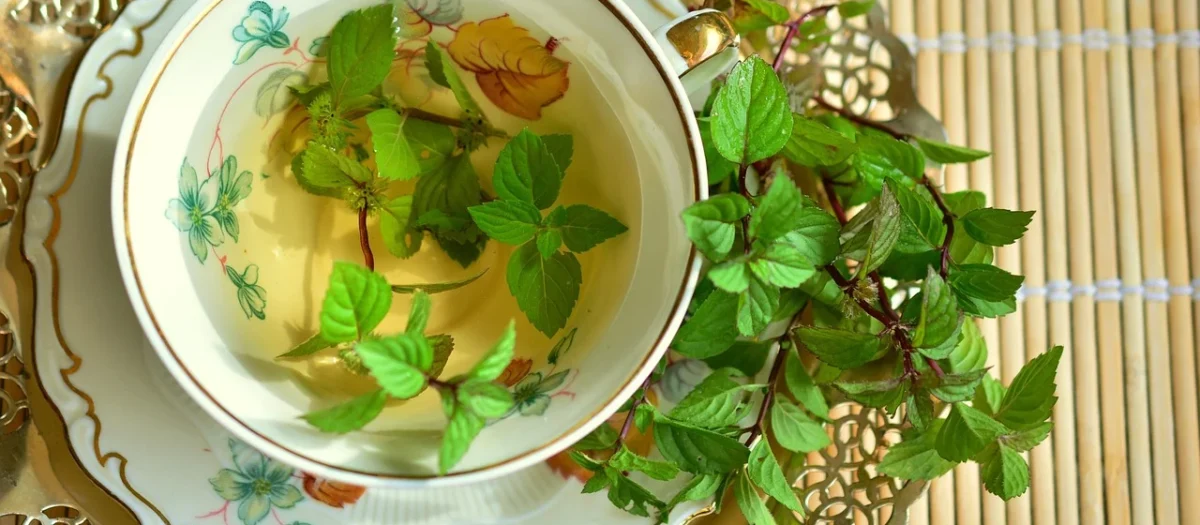 Lipton Herbata Zielona Z Miętą 25 Woreczków
