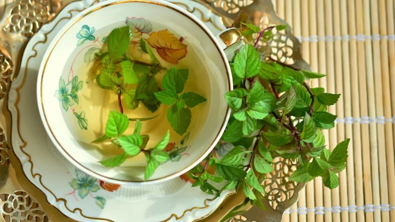 Lipton Herbata Zielona Z Miętą 25 Woreczków