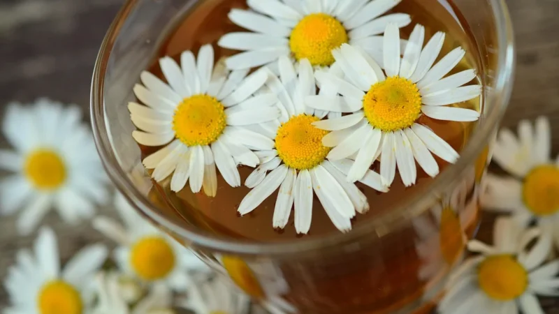 Lipton Herbata Ziołowa Trawa Cytrynowa&Rumianek 20 Torebek