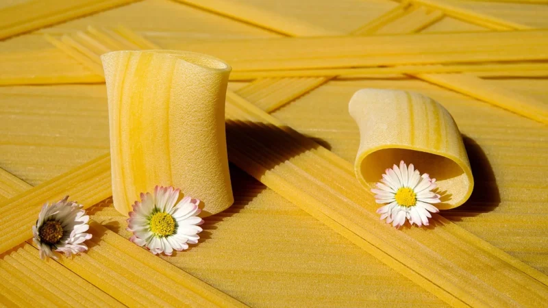 Makaron Z Soczewicy Czerwonej I Ryżu Paccheri Bezglutenowy Bio 250g Pasta Natura