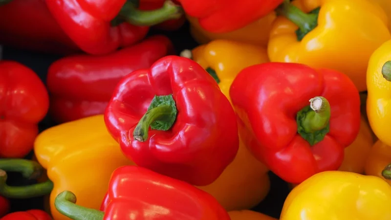 MENU’ Papryka podduszona Mix 800g
