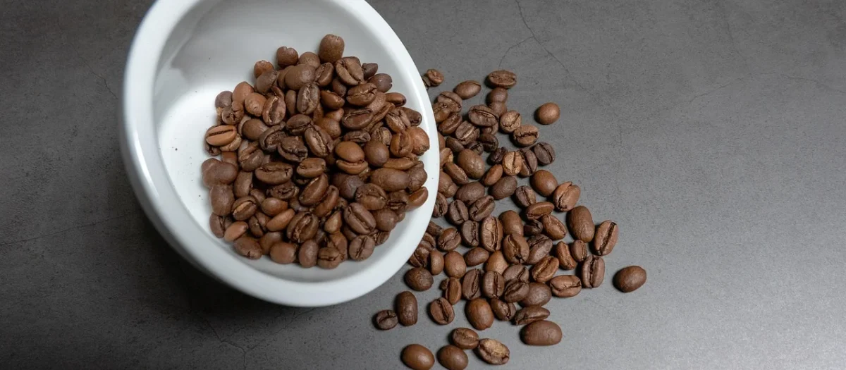 Meseta 100% Arabica 1kg