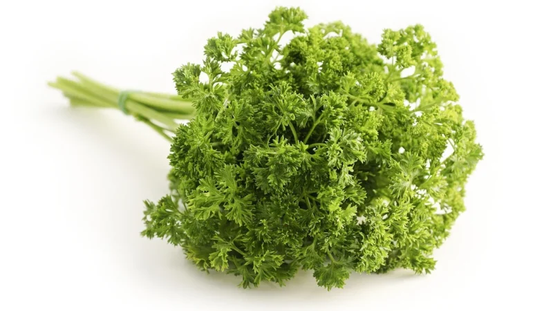Migogroup Pietruszka suszona nać 400g