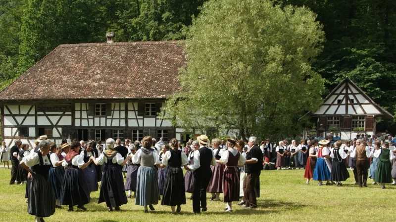 Music dance MP3 11 godzin Muzyka bez opłat (CD)