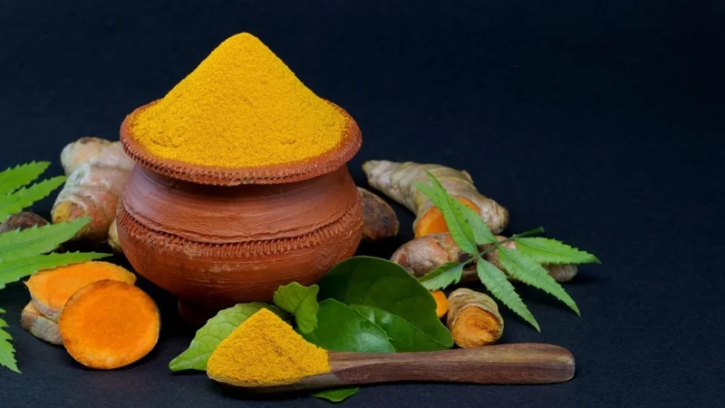 Natura Wita Miodla Indyjska Liść Mielony 50G