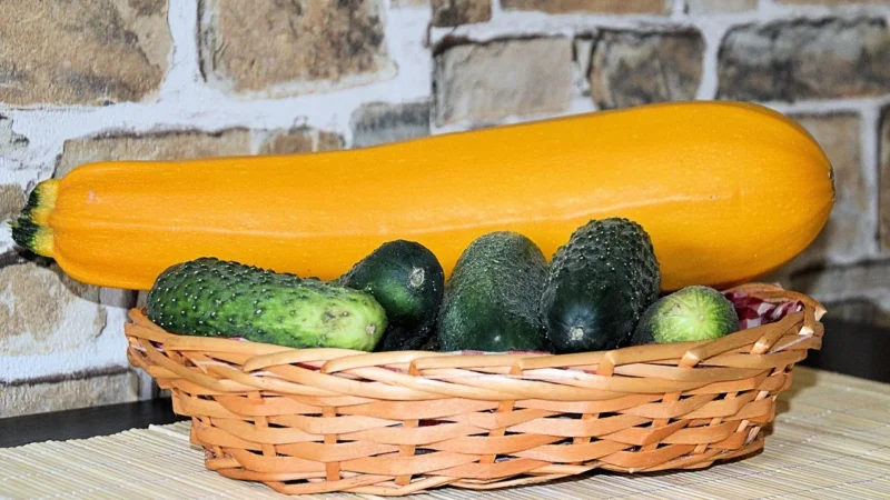 Ogórki Victus Kiszone 600g