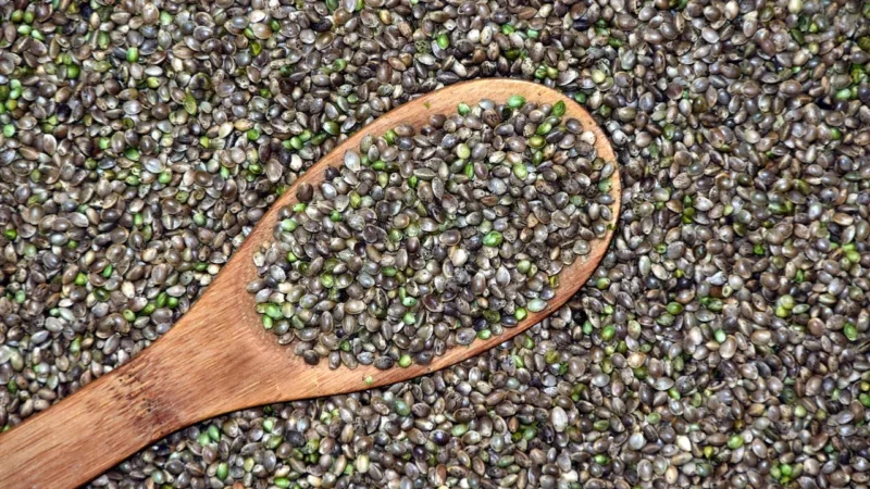 Olvita Nasiona Konopi Obłuszczone 250G