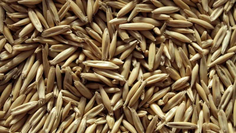Onedaymore Owsianka Karmelowa 450g