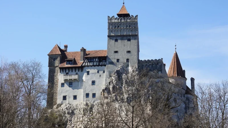 Otręby Gryczane