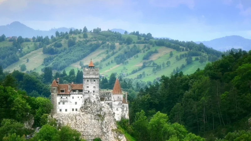 Otręby żytnie 200 g Bio