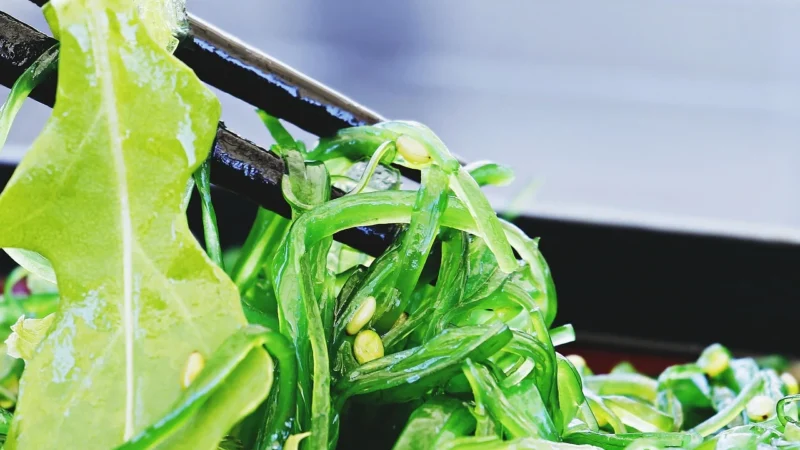 PanAsia WAKAME 500g – suszone wodorosty