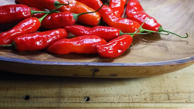 Pasta Chili Sambal Oelek 370G Sos Chilli B. Ostry