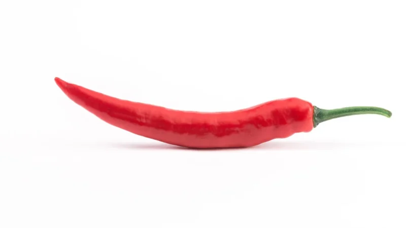Pieprz Cayenne Mielony 600g Słoik Z Dozownikiem