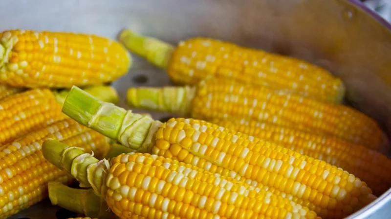 Płatki Kukurydziane Pełnoziarniste Bio 200g Bio
