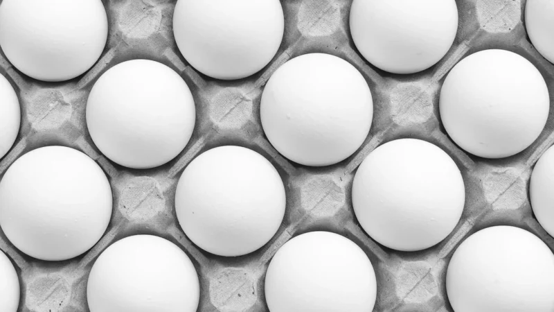 POŁÓWKA KURCZAKA SUROWA BIO (około 1,10 kg) (TACKA) – LIMEKO (NA ZAMÓWIENIE)