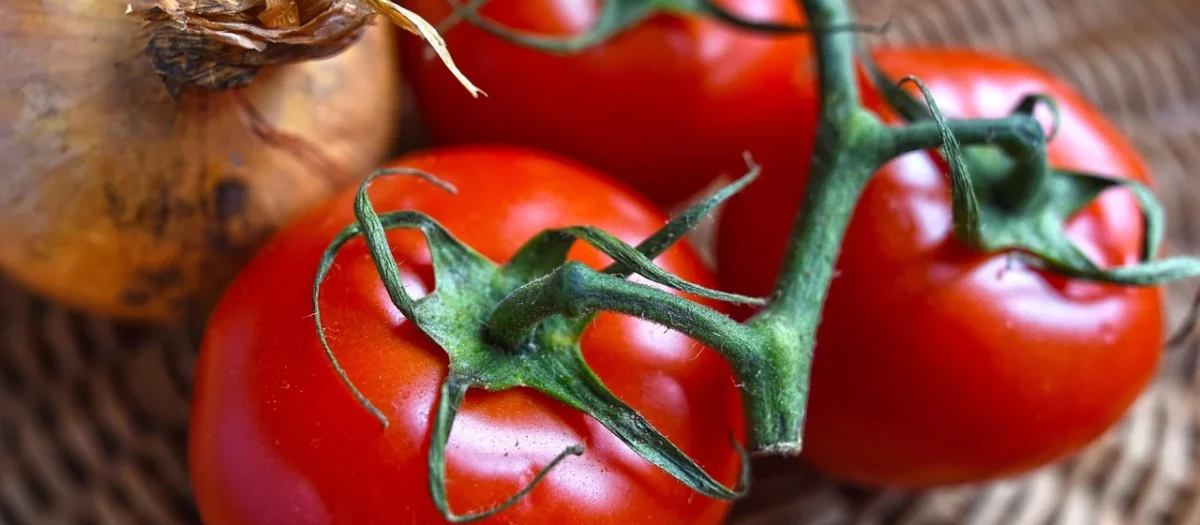 Pomidory zielone całe, Tomatillo 2,8 kg San Marcos