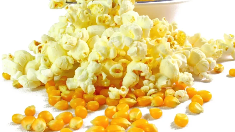 Popcorn Kukurydza 1000g Eoovita S.C.