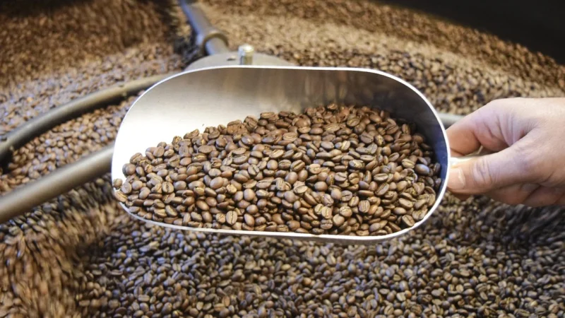 Progressive Kawa ziarnista Waniliowo-orzechowa (Torebka 500g (-16%), Pakowanie standardowe)