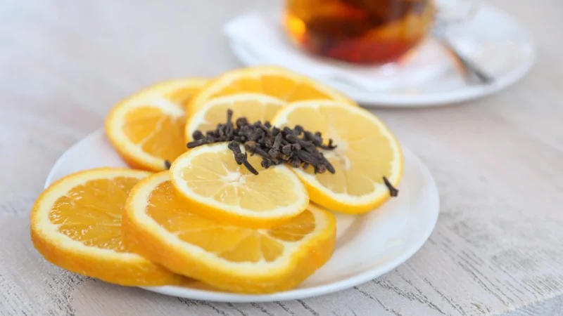 Progressive Rooibos Czerwonokrzew Afrykański 1Kg