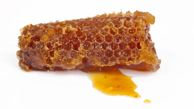 PROPOLIS PLUS 64 KAPS.