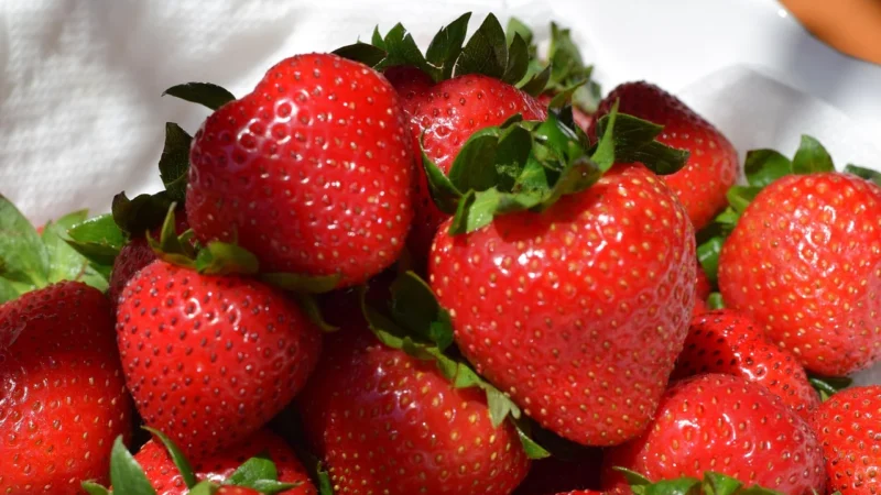 PRZEKĄSKI DLA DZIECI JAGODOWE BIO 100 g (5 x 20 g) – GRON BALANCE