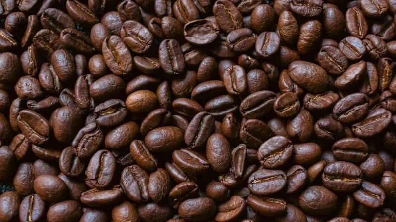 Rafex Arabika etiopia djimmah 1kg